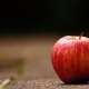 Apple sitting on the ground