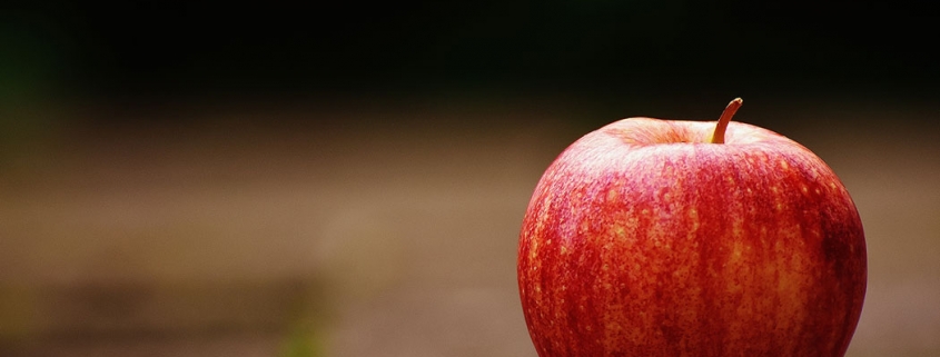 Apple sitting on the ground