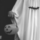 A person dressed up as a ghost trick or treating