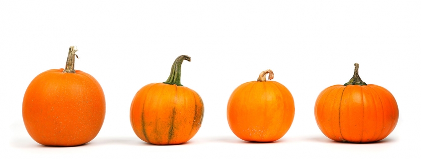 A photo of pumpkins lined up