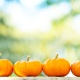 Pumpkin skincare - benefits of including pumpkin in your beauty routine