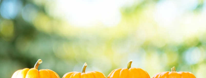 Pumpkin skincare - benefits of including pumpkin in your beauty routine