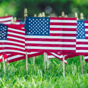 American flags in green grass