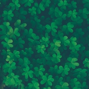 Lucky clover background