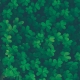 Lucky clover background