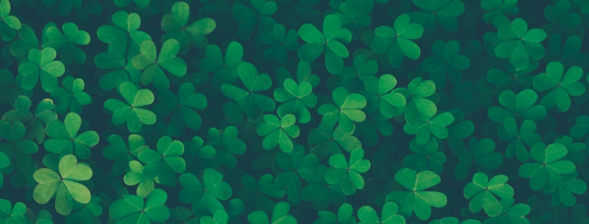 Lucky clover background