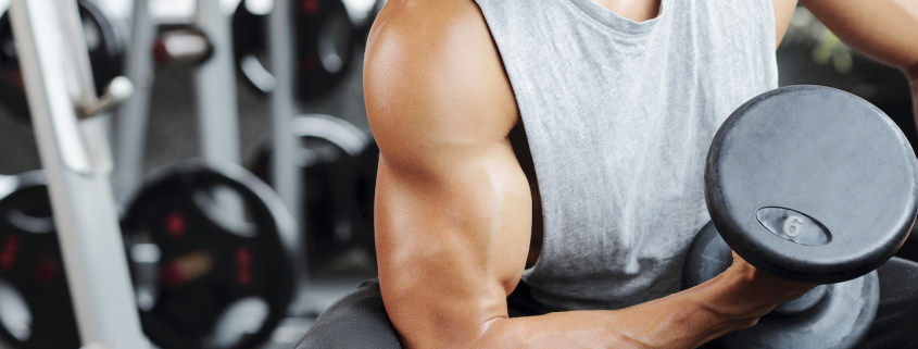 Fit strong man doing biceps curl in gym