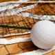 volleyball and net