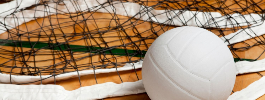 volleyball and net