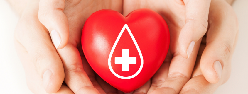 Two sets of hands holding a red heart