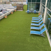 Lincoln Park sundeck