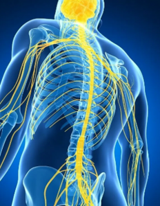 A spin that could use massage relief