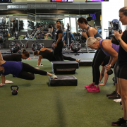 Group of people working out on green turf indoors