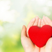 A handheld heart for American Heart Month